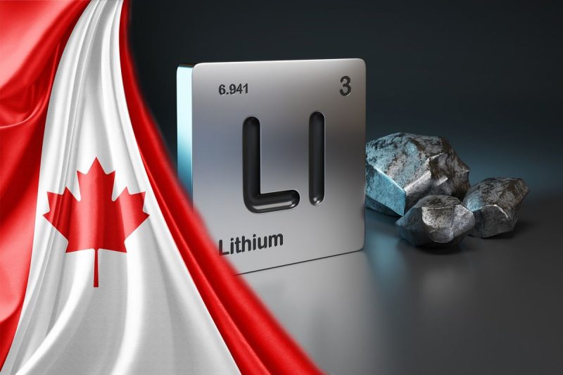 <strong>As the global push toward electrification accelerates, lithium remains a critical piece of the energy transition. </strong>
Continued oversupply remained a persistent headwind for lithium prices through the first half of 2025. Demand for the battery metal jumped 29 percent year-over-year in 2024, fueled by surging electric vehicle sales and rising power needs from sectors like data centers and heavy industry.
 Fastmarket’s analysts expect lithium demand to grow 12 percent annually through 2030, supported by structural trends such as renewable energy integration and battery energy storage.
However, a rapid increase in global supply — particularly from China, Australia and South America — has driven prices to multi-year lows, raising concerns about project economics and the sustainability of new production.
Against this backdrop, Canadian lithium stocks are gaining attention as investors look for companies positioned to benefit from long-term demand growth while navigating short-term price pressure.
                            1. NOA Lithium Brines (TSXV:NOAL)
<strong>Year-to-date gain:</strong> 58.82 percent<strong>Market cap:</strong> C$488.32 million<strong>Share price:</strong> C$0.30
NOA is a lithium exploration and development company with three projects in Argentina’s Lithium Triangle region. The company’s flagship Rio Grande project and prospective Arizaro and Salinas Grandes land packages total more than 140,000 hectares.
As NOA works to advance its flagship asset, the company brought on Hatch in April to lead the preliminary economic assessment (PEA).
The PEA will evaluate the project’s economic and development potential with a target production of 20,000 metric tons of lithium carbonate equivalent (LCE) annually, with a scalable plant design that could double capacity to 40,000 metric tons per year.
NOA has also been working to secure a water source in the arid region through a drilling program targeting fresh water. In late June, the company discovered a fresh water source at the project, located near high-grade lithium zones in the project’s northeast area. According to the company, the location means the water source could support future production facilities or evaporation ponds. 
The well, drilled to 190 meters in the northern part of the property, is being tested and developed.
Shares of NOA reached a year-to-date high C$0.425 on July 17, 2025. 
                            2. Wealth Minerals (TSXV:WML)
<strong>Year-to-date gain:</strong> 40 percent<strong>Market cap:</strong> C$23.93 million<strong>Share price:</strong> C$0.07
Wealth Minerals is focused on the acquisition and development of lithium projects in Chile, including the Yapuckuta project in Chile’s  Salar de Atacama, as well as the Kuska Salar and Pabellón projects near the Salar de Ollagüe.
Wealth Minerals’ shares spiked to a year-to-date high of C$0.095 on February 9, 2025, following the company’s acquisition of the Pabellón project. 
According to Wealth, Pabellón has been shortlisted by Chile’s Ministry of Mining as a potential site for a Special Lithium Operation Contract based on its geological and environmental suitability. Located in Northern Chile near the Bolivia border, the project spans 7,600 hectares across 26 exploration licenses about 70 kilometers south of the Salar de Ollagüe.
In May, Wealth formed a joint venture with the Quechua Indigenous Community of Ollagüe to advance the Kuska project. The new entity, Kuska Minerals SpA, is 95 percent owned by Wealth and 5 percent by the community, which also holds anti-dilution rights and a seat on the five-member board.
                            3. Avalon Advanced Materials (TSX:AVL)
<strong>Year-to-date gain:</strong> 37.5 percent<strong>Market cap:</strong> C$38.26 million<strong>Share price:</strong> C$0.055
Avalon Advanced Materials is a Canadian mineral development company focusing on integrating the Ontario lithium supply chain. Avalon is developing the Separation Rapids and Snowbank lithium projects near Kenora, Ontario, and the Lilypad lithium-cesium project near Fort Hope, Ontario. 
Separation Rapids and Lilypad are part of a 40/60 joint venture between Avalon and SCR Sibelco, with Sibelco serving as the operator.
Avalon started the year with a revised mineral resource estimate for the Separation Rapids project,  which boosted resources in the measured and indicated category by 28 percent. 
Company shares rose to C$0.07, a year-to-date high, on July 15, the day after Avalon released its results for its fiscal quarter ended May 31. 
A week later, Avalon announced an additional C$1.3 million in funding through its C$15 million convertible security agreement with Lind Global Fund II. The drawdown, expected to close within two weeks, will support project development and general corporate needs, according to the company.
                            4. Frontier Lithium (TSXV:FL)
<strong>Year-to-date gain:</strong> 20 percent<strong>Market cap:</strong> C$125.41 million<strong>Share price:</strong> C$0.54
Pre-production mining company Frontier Lithium aims to be a strategic and integrated supplier of premium spodumene concentrates as well as battery-grade lithium salts in North America.
The company’s flagship PAK lithium project, which is a joint venture with Mitsubishi (TSE:8058), holds the “largest land position and resource” in a premium lithium mineral district located in the Great Lakes region of Ontario, Canada. Frontier also owns the Spark deposit, located northwest of the PAK project.
Shares of Frontier Lithium reached a year-to-date high of C$0.79 on March 4. The stock uptick coincided with a government release reporting the federal and provincial governments supported the company’s plans to build a critical minerals refinery in Northern Ontario. 
Once complete, the proposed lithium conversion facility will process lithium from the PAK mine project into approximately 20,000 metric tons of lithium salts per year. 
In late May, Frontier released a definitive feasibility study for the mine and mill segment of its PAK project. The study outlines a 31 year mine life with average production of 200,000 metric tons of spodumene concentrate. As for the economics, it projects net revenue of C$11 billion, an after-tax NPV of C$932 million and a 17.9 percent internal rate of return. 
                            5. Century Lithium (TSXV:LCE)
<strong>Year-to-date gain:</strong> 17.31 percent<strong>Market cap:</strong> C$51.58 million<strong>Share price:</strong> C$0.30
US-focused Century Lithium  is currently advancing its Angel Island lithium project in Esmeralda County, Nevada. The company is also engaged in the pilot testing phase at its on-site lithium extraction facility, which will process material from the lithium-bearing claystone deposit.
On May 6, Century Lithium announced the successful completion of testwork on the direct lithium extraction (DLE) process at its demonstration plant. 
The results exceeded expectations, showing 91.6 percent lithium recovery and an eluate grade of 575 milligrams per liter (mg/L) from a 328 mg/L lithium concentrate feed. The company says these improvements could significantly reduce capital and operating costs at its Angel Island project.
Shares of Century Lithium registered a year-to-date high of C$0.49 on May 19.
Recently, the company participated in First Phosphate’s (CSE:PHOS,OTCQB:FRSPF) successful production of commercial-grade lithium iron phosphate (LFP) 18650 battery cells.
As noted in the press release, the cells were made using North America-sourced materials, including lithium carbonate from Century’s Angel Island project in Nevada that was processed at its demonstration plant alongside high-purity phosphoric acid and iron from First Phosphate’s Bégin-Lamarche project in Québec, Canada.
<strong>Securities Disclosure: I, Georgia Williams, hold no direct investment interest in any company mentioned in this article.</strong>
This post appeared first on investingnews.com