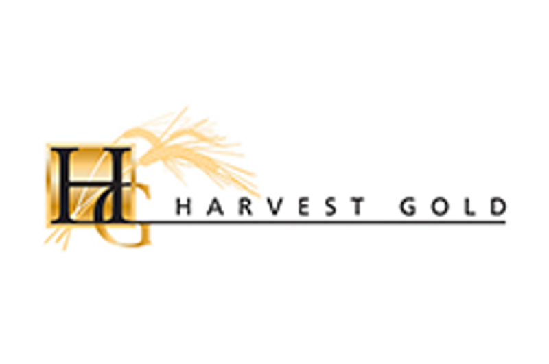 (TheNewswire) 
 
 
  Vancouver, British Columbia /   August 14,   2025 ‑   TheNewswire –   Harvest Gold Corporation  (TSXV: HVG) (‘  Harvest   Gold  ‘ or the ‘  Company  ‘) is pleased to provide an update on exploration activities across its 100%-owned Quebec properties, all located in the Abitibi Greenstone Belt within the Urban-Barry area. The Company has mobilized a diamond drill to commence drilling at its Mosseau property, initiated a property-wide till sampling program at its Urban-Barry project, and completed a high-resolution airborne magnetic survey over the LaBelle property and recently acquired claims southeast of Mosseau  .  
 Rick Mark, President and CEO of Harvest Gold states: ‘We are all very excited to be advancing exploration on all three of our Urban-Barry area properties, simultaneously. This includes our much-anticipated 5000 meter diamond drilling program at Mosseau and an extensive first time geochemistry examination at the large Urban-Barry property. And, we have now completed a first time look at another sizable property, Labelle, through an airborne geophysics program that is continuous with the very revealing mag survey done last year on Mosseau.’ 
  Diamond Drilling at Mosseau  
  The diamond drill is expected to be mobilized this week to the Mosseau property. Phase I of the planned 5,000-metre diamond drilling program at Mosseau follows an extensive compilation of regional data, a high-resolution magnetic survey, and encouraging results from the soil sampling program and reconnaissance mapping and prospecting programs. Drilling will focus on high-priority targets in the northern portion of the property, which hosts numerous historical gold showings, as well as in the Central area where recent geophysical and geochemical surveys have identified several quality targets for gold mineralization (Figures 2 and 3).  
  Till Sampling at Urban-Barry  
  Harvest Gold has also commenced fieldwork at its 19 km-long Urban-Barry property, which averages 4 km in width. Limited prospecting and mapping were conducted last summer; however, due to some reasonably extensive overburden, the Company determined that a till sampling survey would be the most effective tool to evaluate the property’s gold potential. The survey is being conducted by IOS Services Géoscientifiques and consists of NW-SE oriented sampling lines spaced 1,000–1,500 metres apart, perpendicular to the dominant ice-flow direction, with individual samples collected every 250–300 metres. A total of 145 samples are planned (Figure 4).  
  Magnetic Survey at LaBelle  
 This week, the Company completed a high-resolution airborne magnetic survey over the LaBelle property and newly staked claims, at a 50-metre line spacing totaling 1,368 line-kilometres (Figure 5). Conducted by Novatem Airborne Geophysics, the survey covers an area with minimal historical exploration, but is interpreted from government regional magnetic data to be the southeast extension of the mineralized corridor hosting known mineralization at Mosseau. 
  These programs are designed to expand the Company’s exploration pipeline and support future drill targeting across its broad Quebec project portfolio.  
  About Harvest Gold Corporation  
 Harvest Gold is focused on exploring for near surface gold deposits and copper-gold porphyry deposits in politically stable mining jurisdictions. Harvest Gold’s board of directors, management team and technical advisors have collective geological and financing experience exceeding 400 years. 
  Harvest Gold has three active gold projects focused in the Urban Barry area, totalling  377 claims covering 20,016.87 ha  , located approximately 45-70 km west of Gold Fields Limited’s – Windfall Deposit (Figure 1).  
  Harvest Gold acknowledges that the Mosseau Gold Project straddles  the  Eeyou Istchee-James Bay and Abitibi territories.  Harvest Gold is committed to developing positive and mutually beneficial relationships based on respect and transparency with local Indigenous communities.  
 Harvest Gold’s three properties, Mosseau, Urban-Barry and LaBelle, together cover over 50 km of favorable strike along mineralized shear zones. 
     Click Image To View Full Size  
  Figure 1: Project Location: Urban-Barry Greenstone Belt  
     Click Image To View Full Size  
  Figure 2: Magnetic Domains across the Northern and Central Target Areas of Mosseau  
     Click Image To View Full Size  
  Figure 3: Drill targets on the Mosseau property (magnetics)  
     Click Image To View Full Size  
  Figure 4: Till Sampling program in progress on the Urban-Barry Property  
     Click Image To View Full Size  
  Figure 5:  Recently completed airborne magnetic survey lines on the LaBelle and Mosseau (2025) and airborne magnetic results of Mosseau (2024)  
  Qualified Person Statement  
  All scientific and technical information in this news release has been prepared and approved by Louis Martin, P.Geo., Technical Advisor to the Company and considered a Qualified Person for the purposes of NI 43-101.  
  ON BEHALF OF THE BOARD OF DIRECTORS  
 Rick Mark  President and CEO Harvest Gold Corporation 
  For more information please contact:  
  Rick Mark or Jan Urata  @ 604.737.2303 or     info@harvestgoldcorp.com    
  Neither TSX Venture Exchange nor its Regulation Services Provider (as that term is defined in the policies of the TSX Venture Exchange) accepts responsibility for the adequacy or accuracy of this release.  
  Forward Looking Information  
  This news release includes certain statements that may be deemed ‘forward looking statements’. All statements in this news release, other than statements of historical facts, that address events or developments that Harvest Gold expects to occur, are forward looking statements. Forward looking statements are statements that are not historical facts and are generally, but not always, identified by the words ‘expects’, ‘plans’, ‘anticipates’, ‘believes’, ‘intends’, ‘estimates’, ‘projects’, ‘potential’ and similar expressions, or that events or conditions ‘will’, ‘would’, ‘may’, ‘could’ or ‘should’ occur.  
  Although the Company believes the expectations expressed in such forward-looking statements are based on reasonable assumptions, such statements are not guarantees of future performance and actual results may differ materially from those in the forward-looking statements. Factors that could cause the actual results to differ materially from those in forward looking statements include market prices, exploitation and exploration successes, and continued availability of capital and financing, and general economic, market or business conditions. Investors are cautioned that any such statements are not guarantees of future performance and actual results or developments may differ materially from those projected in the forward-looking statements. Forward looking statements are based on the beliefs, estimates and opinions of the Company’s management on the date the statements are made. Except as required by securities laws, the Company undertakes no obligation to update these forward-looking statements in the event that management’s beliefs, estimates or opinions, or other factors, should change.  
 Copyright (c) 2025 TheNewswire – All rights reserved. 
News Provided by TheNewsWire via QuoteMedia
This post appeared first on investingnews.com